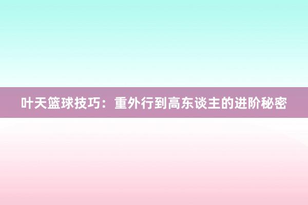 叶天篮球技巧：重外行到高东谈主的进阶秘密